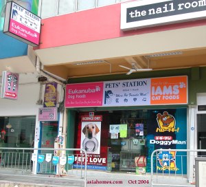 An attractive pet shop frontage, asiahomes.com