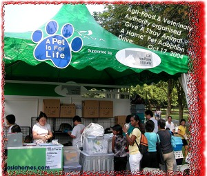 Finding a home for Singapore stray cats at a Pet Adoption Drive in Bishan Park II. 