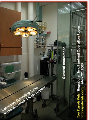 Toa Payoh Vets, small animal operating room, Singapore.