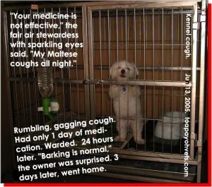 Owner was unable to enforce complete cage rest at home.