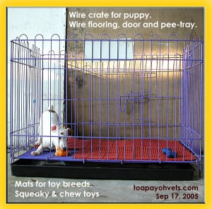 The wire crate, wire-flooring and pee tray for puppies. Rust is a problem. Toa Payoh Vets.