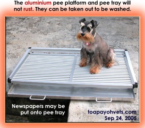 The Aluminium pee platform and tray cost S$150. Toa Payoh Vets