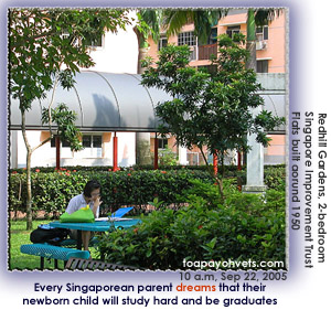 Hard for many Singaporeans to find a quiet place to study for end of term examinations. Toa Payoh Vets